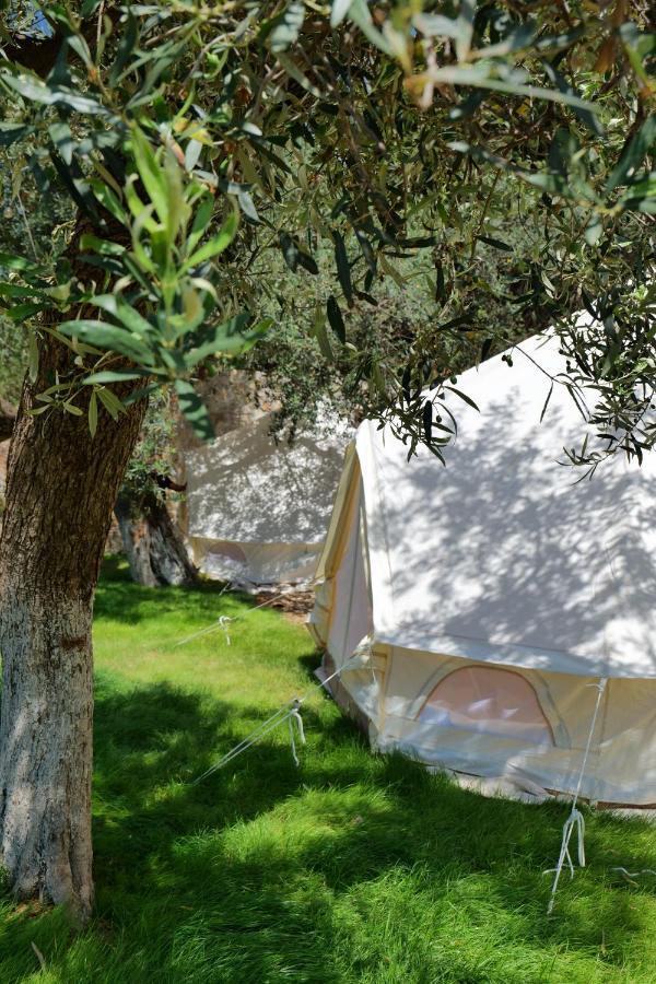 Vila Panorama Piqeras Bed & Breakfast Exterior photo
