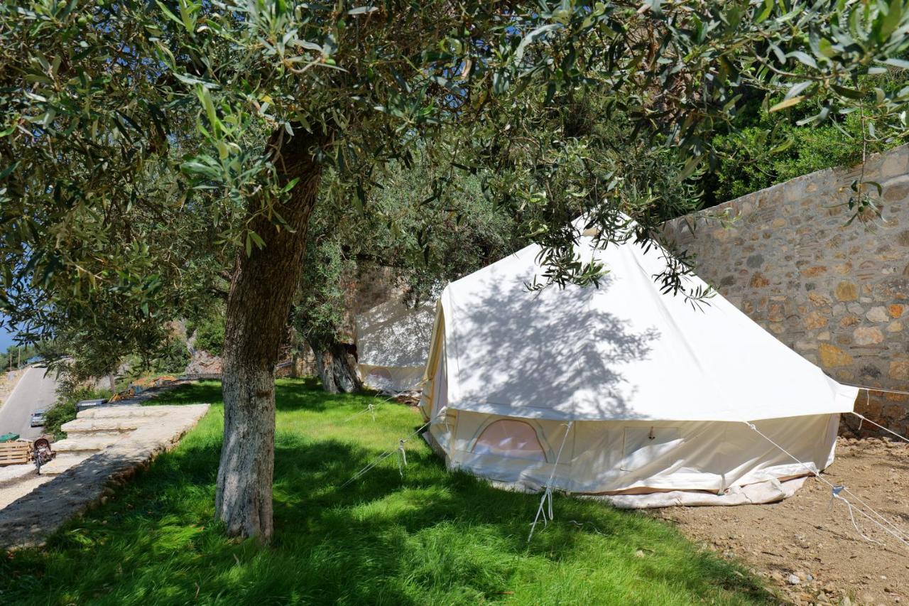 Vila Panorama Piqeras Bed & Breakfast Exterior photo